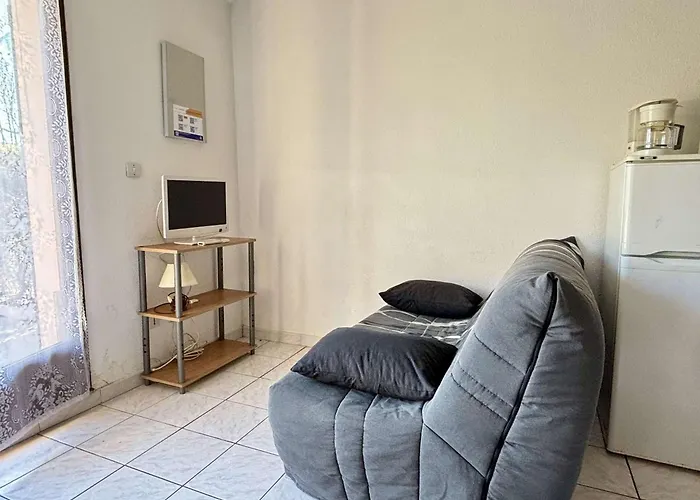 Vakantiehuis Maison 2 Pieces Avec Mezzanine, Piscine Et Parking Prives, 6 Couchages A 700m De La - - Fr-1-225-74
